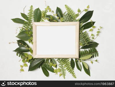 frame green plants