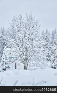 frame house in the forest in winter