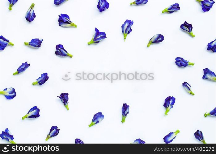 Frame made of butterfly pea flower on white background.