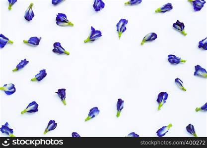 Frame made of butterfly pea flower on white background.
