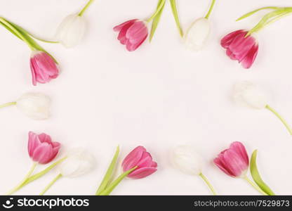 Frame made of colourful tulips Valentines day background. Frame made of colourful tulips