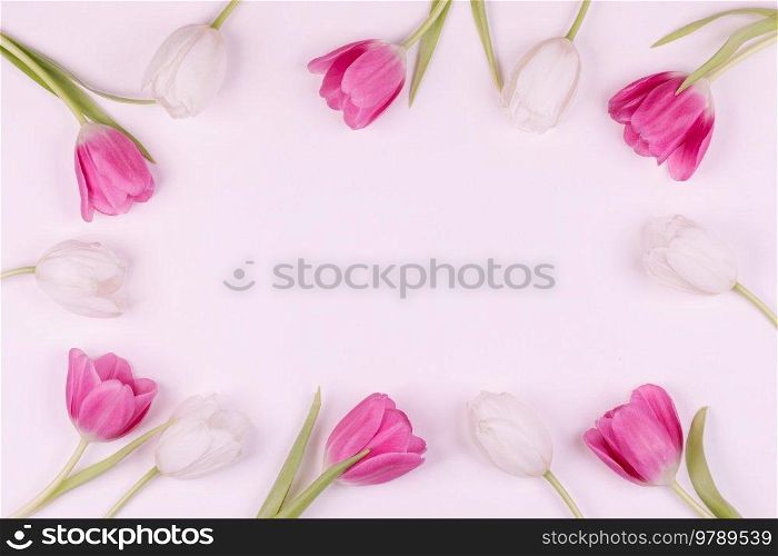 Frame made of colourful tulips Valentines day background. Frame made of colourful tulips