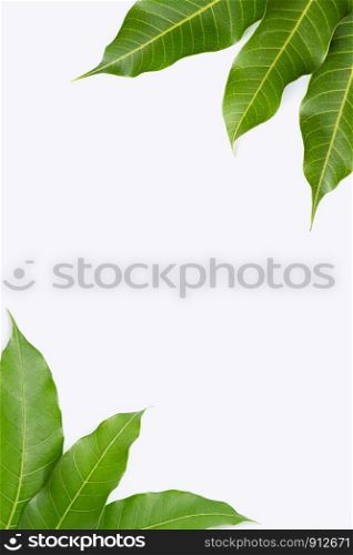 Frame made of mango leaves on white background. Top view