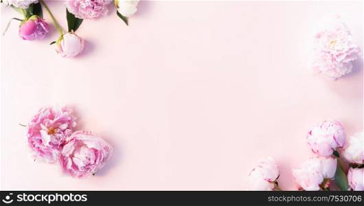 Frame made of of pink and white peony flowers with copy space for text on pink background. Flat lay, top view. Peony flower natural texture. Fresh peony flowers