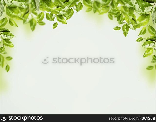 Frame of beautiful green leaves and branches at light mint background. Nature border. Eco or abstract vegetation concept. Springtime and summer nature
