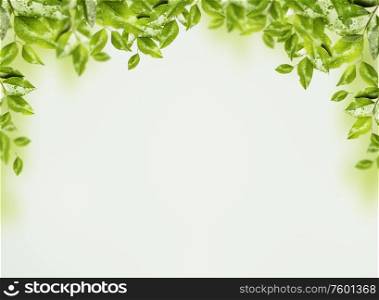 Frame of beautiful green leaves and branches at light mint background. Nature border. Eco or abstract vegetation concept. Springtime and summer nature