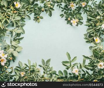 Frame of Dog-roses with white flowers on light blue background, top view