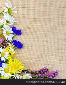 Frame of flowers chamomile, cornflower, elecampane, dead-nettle on sacking