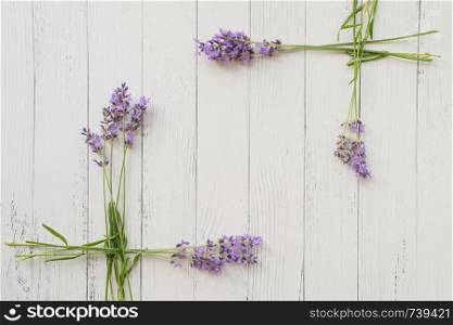Frame of fresh summer flowers on white wooden background. Composition of violet lavender. Free space. Top view. Frame of fresh summer flowers on white wooden background. Composition of violet lavender. Free space
