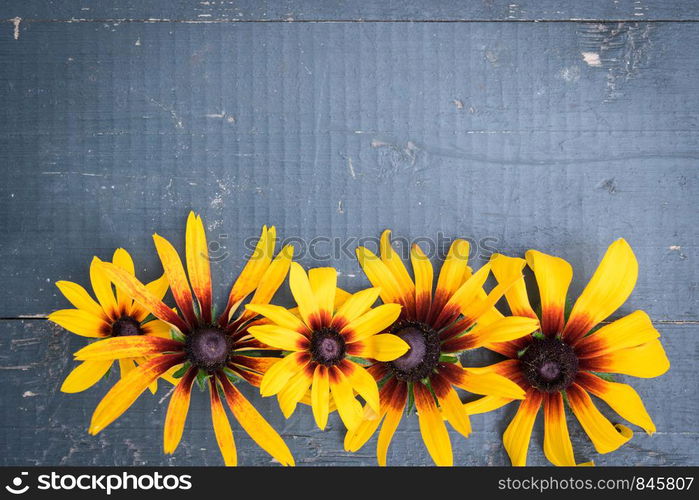 Frame of Garden yellow flowers on old blue wooden table background. Backdrop with copy space. Frame of Garden flowers on blue wooden table background. Backdrop with copy space