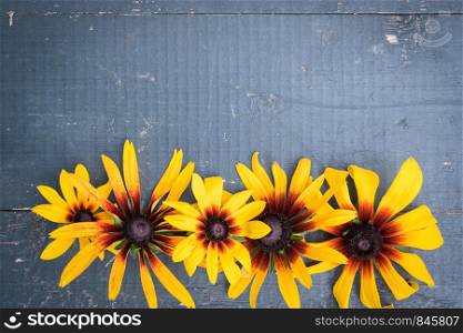 Frame of Garden yellow flowers on old blue wooden table background. Backdrop with copy space. Frame of Garden flowers on blue wooden table background. Backdrop with copy space