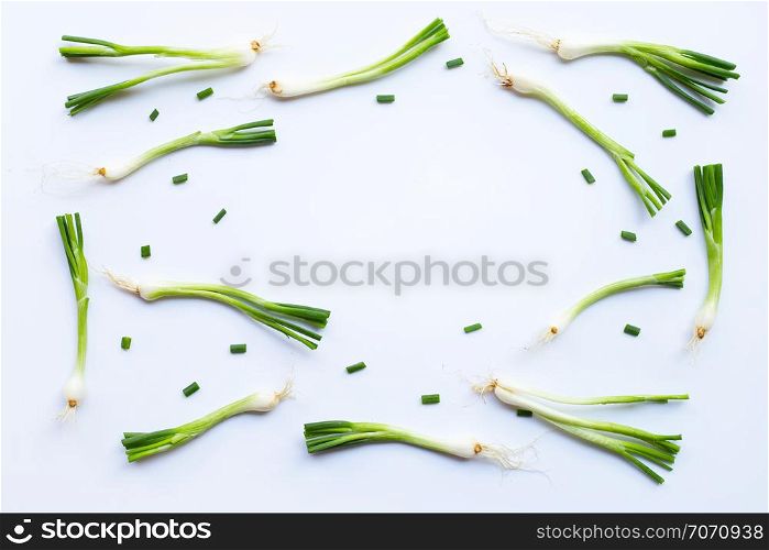 Frame of green onions isolated on white background