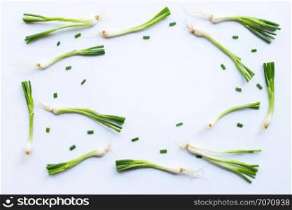 Frame of green onions isolated on white background