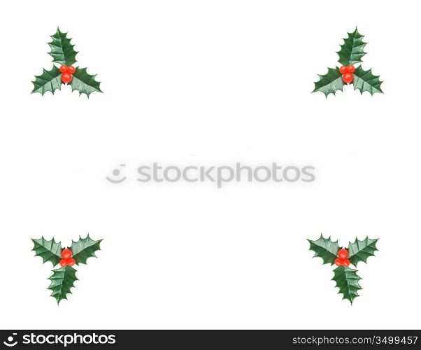 Frame of holly on a over white background