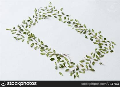 Frame of little green leaves represented over white background. Blank copy space may be used for your ideas, emotions, feelings.. Green leaves and white background