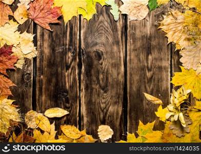 Frame of maple leaves. On a wooden background.. Frame of maple leaves.