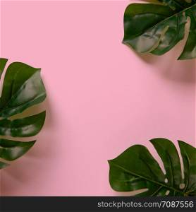 Frame of Monstera leaves on pink background with copy space. Minimalism flat lay. For lifestyle blog, book, article, social media. Square format for Instagram.