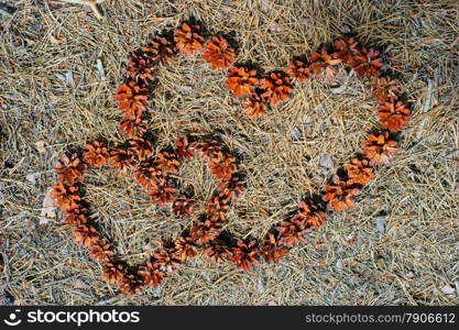 frame of pine cones - Heart.