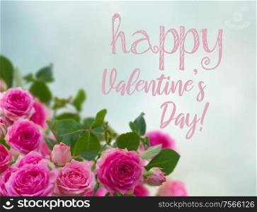 frame of pink roses brunches close up on blue bokeh background with happy Valentines Day greeting. frame of pink roses brunches