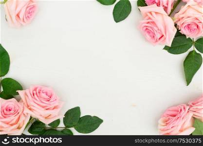 Frame of Rose fresh flowers on table from above with copy space, flat lay scene. fresh rose flowers