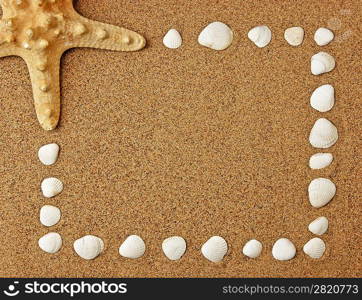 Frame of sea shells on the sandy beach