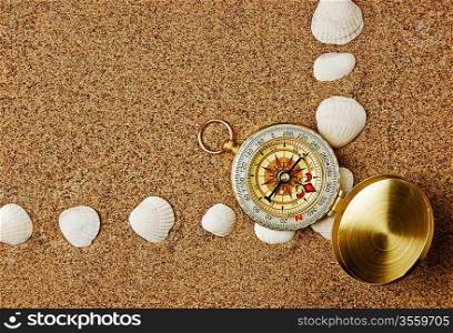 Frame of sea shells on the sandy beach