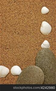 Frame of sea shells on the sandy beach