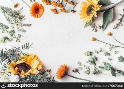 Frame of summer garden flowers with pretty sunflowers on white background, top view