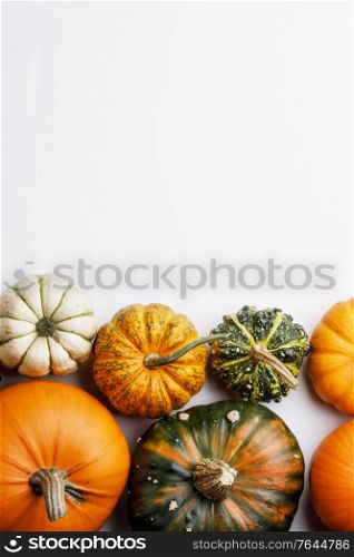 Frame of various colorful pumpkins isolated on white background , Halloween concept , copy space for text. Colorful pumpkins on white