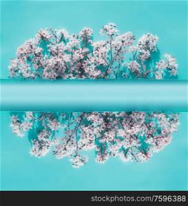 Frame of white cherry blossom on turquoise background , top view. Creative layout. Spring nature