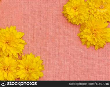 Frame of yellow flowers against a background of pink cloth