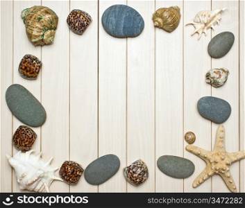 Frame photos of seashells on a background of wooden boards