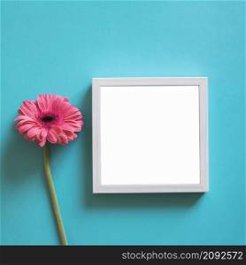 frame pink flower