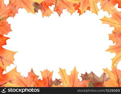 Frame with autumn leaves on white isolated background . Horizontal frame orientation . Watercolor compositions for the design of greeting cards or invitations. Frame with autumn leaves on white isolated background . Horizontal frame orientation . Watercolor compositions for the design of greeting cards or invitations.