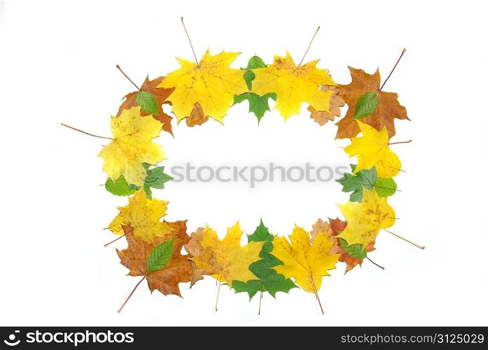 Frame with colored autumn maple leaves - white background