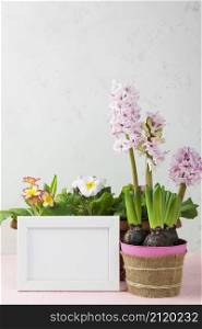frame with flower pot hyacinth