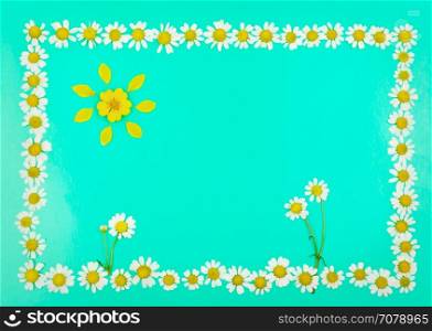 Frame with flowers and sun of daisies on light blue background. top view