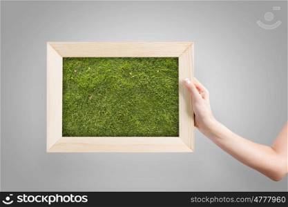 Frame with grass. Close up of human hand holding frame