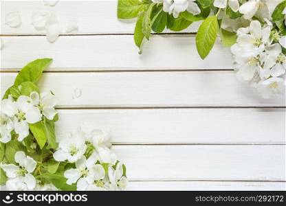 Frame with white apple flowers and green leaves on light wooden background with copy-space; top view, flat lay, overhead view
