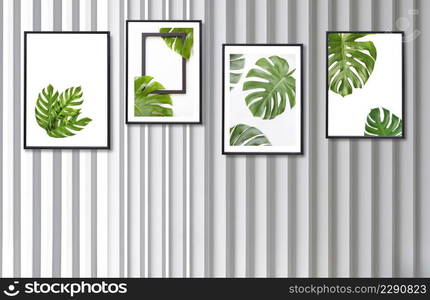 Framed pictures of monstera leaves on white wooden wall background, interior design concept