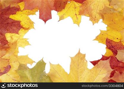 Framework for photos from multi-coloured maple leaves