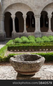 France, Provence. Senanque Abbey garden detail. More than 800 years of history in this picture.