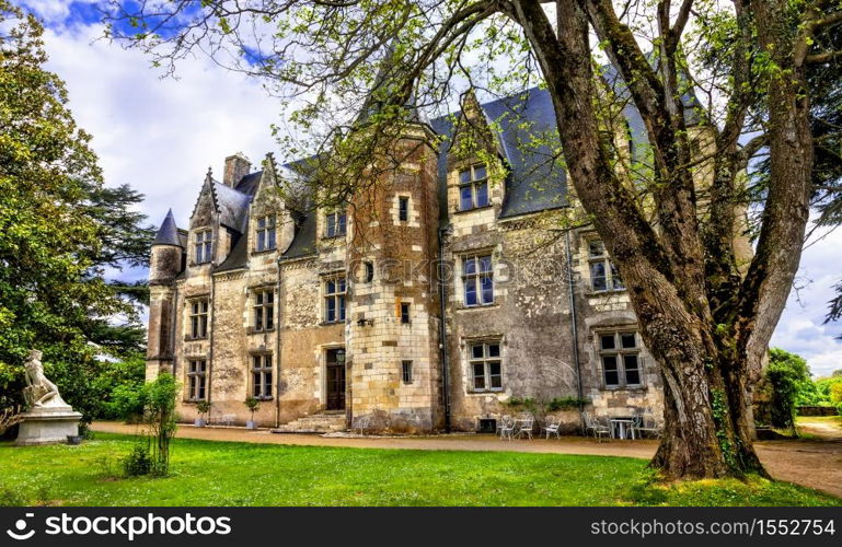 France tourism and travel. Beautiful castles of Loire valley - elegant chateau de Montresor .. Romantic castles of Loire Valley - Montresor. landmarks of France and historic monuments