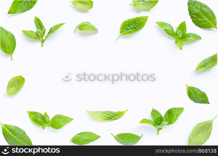 Frane made of basil leaves on white background.