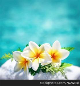 Frangipani flowers border over blue water background, spa still life, travel and tourism, conceptual photo of a summer vacation with copy space
