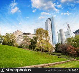 Frankfurt, Germany. Beautiful park with modern city skyline on a sunny day.