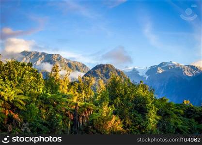 Franz Josef glacier and rain forest landscape, New Zealand. Franz Josef glacier and rain forest, New Zealand