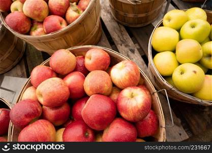 Freah food produce apples in a bushel basket at the market
