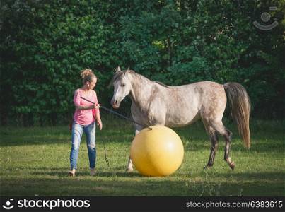 Free horse playing a big yellow ball with a woman. Horsemanship scene. Horse free dressage