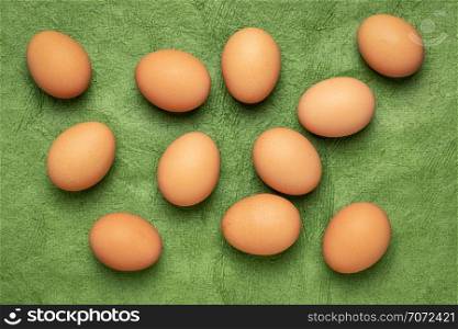 free-range large brown chicken eggs on textured green bark paper